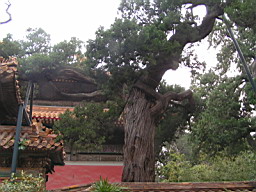 200608_190708b 108.jpg